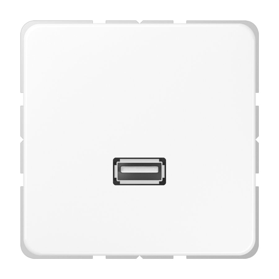 Afdekking alpin wit voor 1xUSB CD500