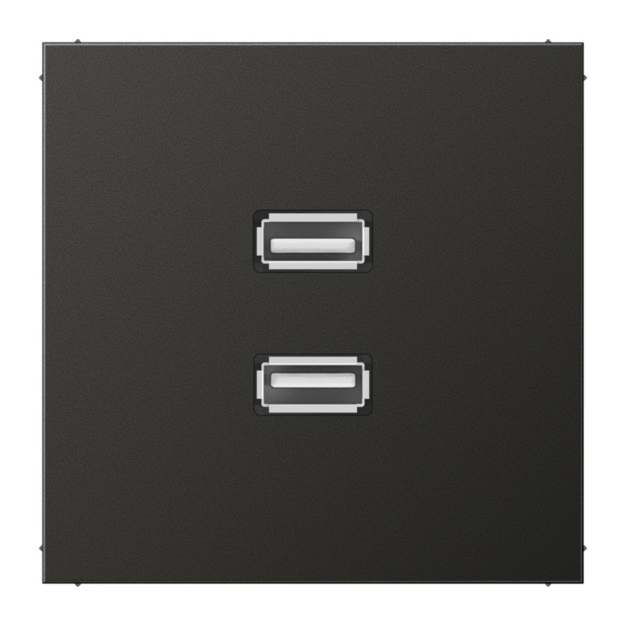 Afdekking antraciet voor 2xUSB LS