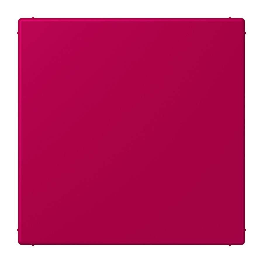 Centraalplaat blind klembevestiging LC32101