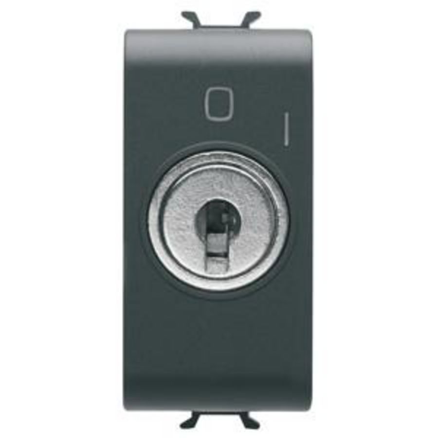 EENWEGSCHAKELAAR 2P 250 Vac-10 AX-MET SLEUTEL-SYMBOOL