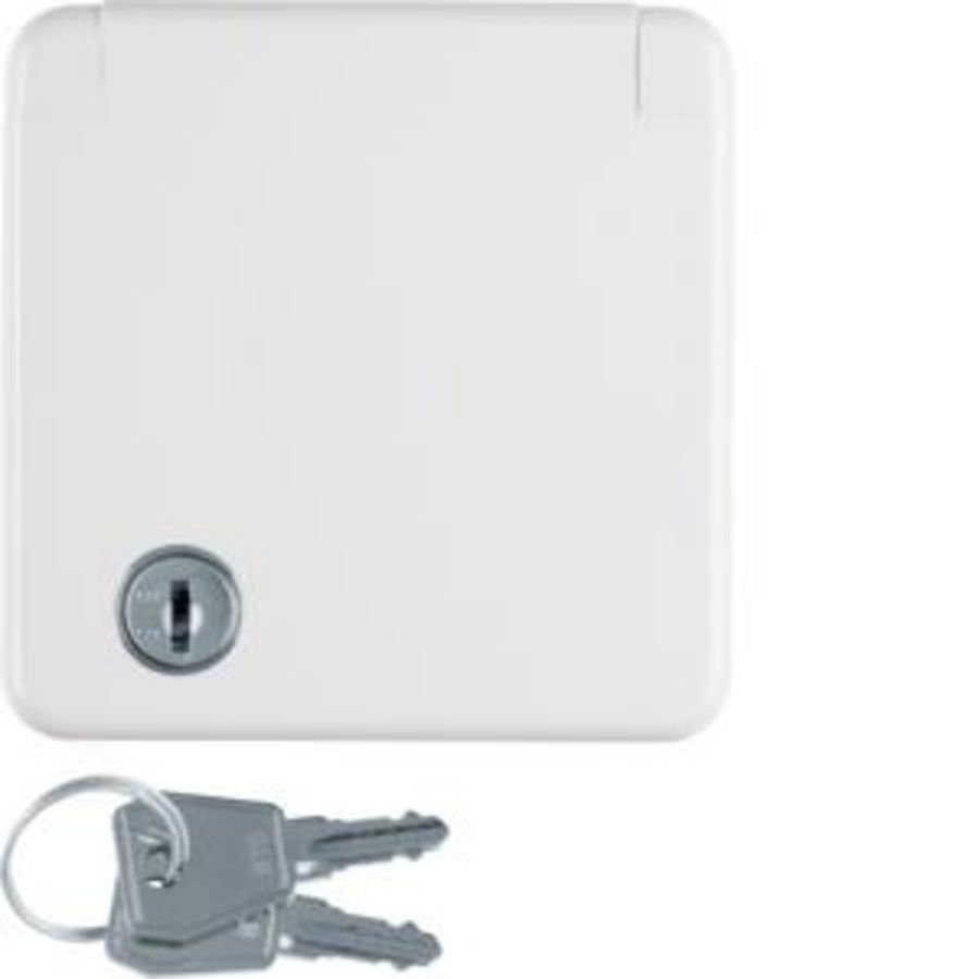Wandcontactdoos RA sleutel volle afdekplaat berker IP44 inb