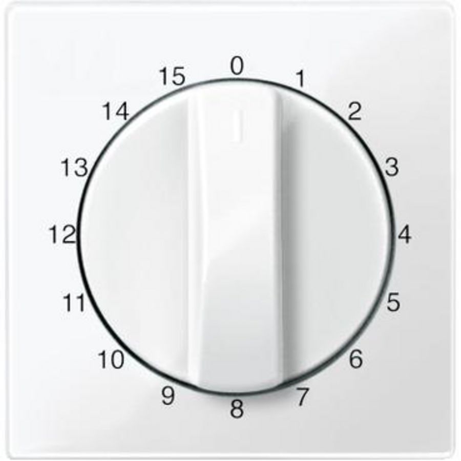 CentRALplate time switch insert 15min polar white glossy Sys