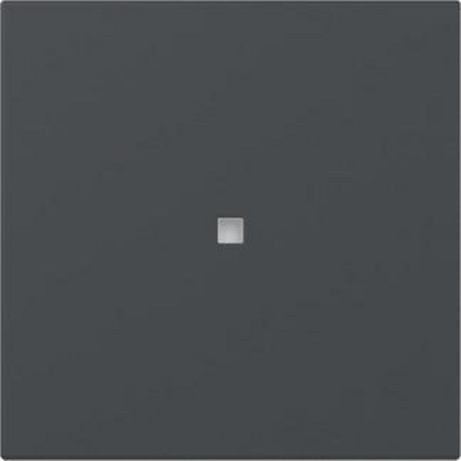 Wip recht ctrl.v. System 55 antraciet