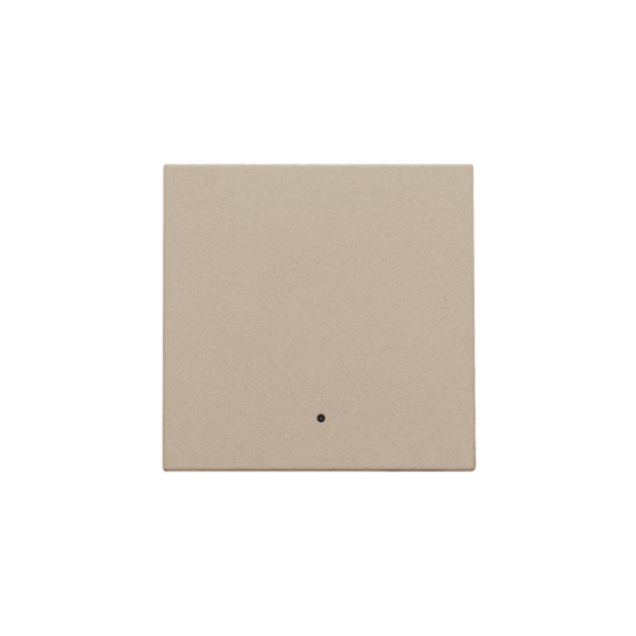 Afwerkingsset lens enkelvoudige elektr. Schakelaar champagne