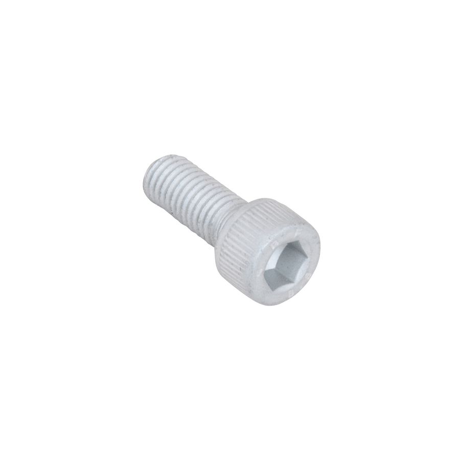 BIS Binnenzeskantbout BUP M8x25mm VVE=200