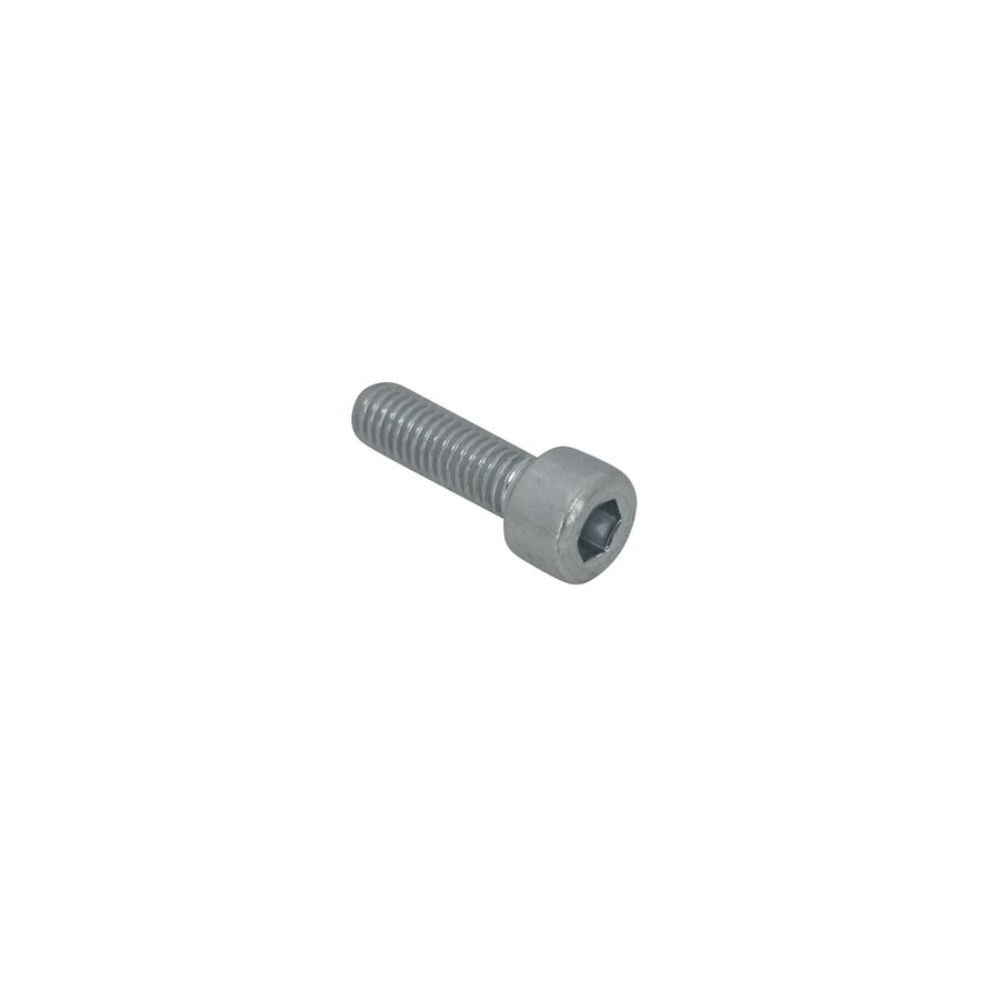 BIS Binnenzeskantbout ev M8x20mm VVE=200