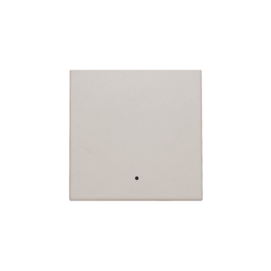 Afwerkingsset lens enkelvoudige elektr. Schakelaar l.grey