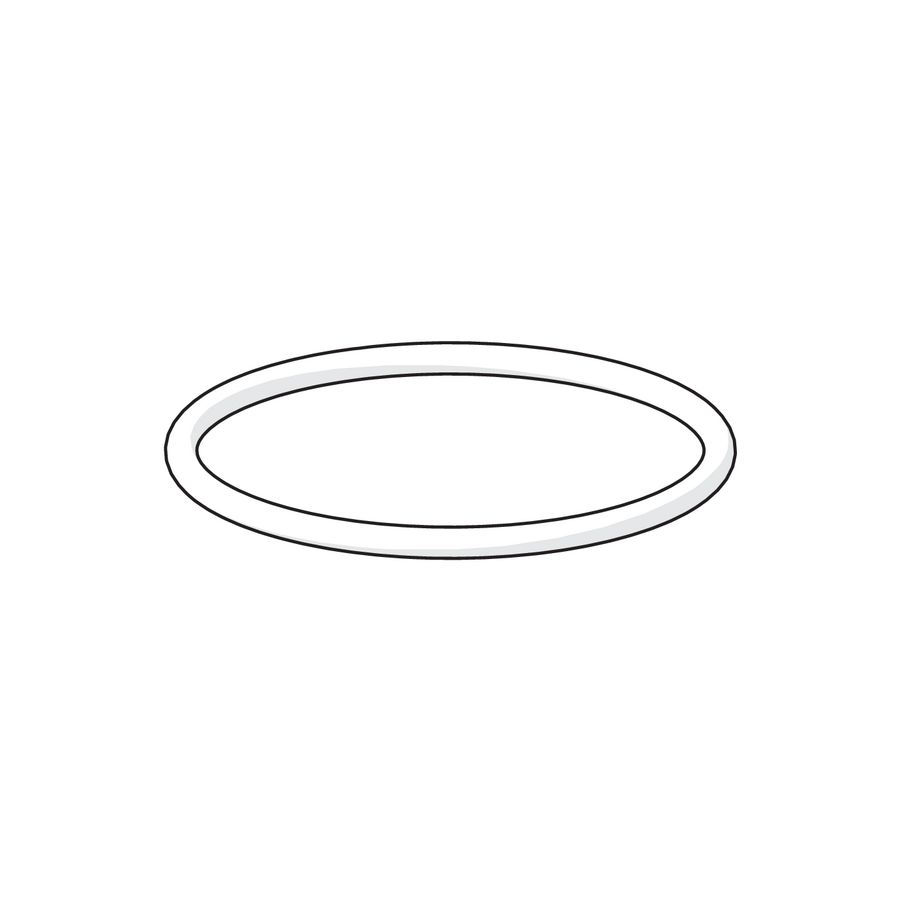 O-ring 59904764