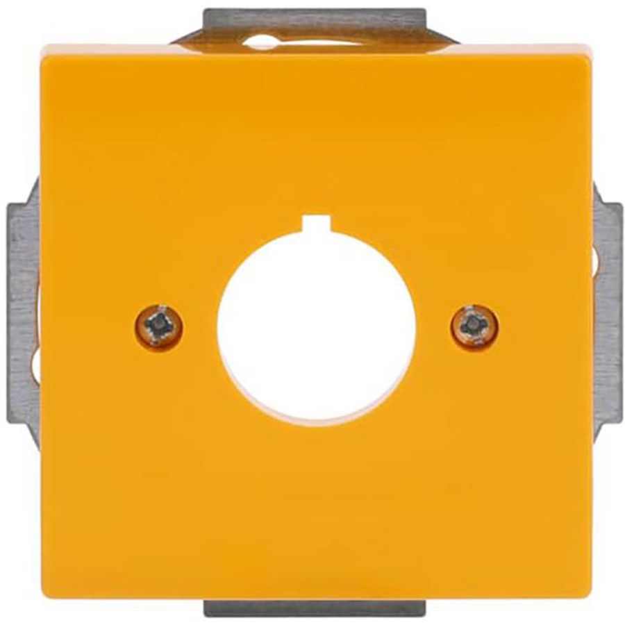 Centraalplaat boring 22.5mm geel future (2533-82-15)