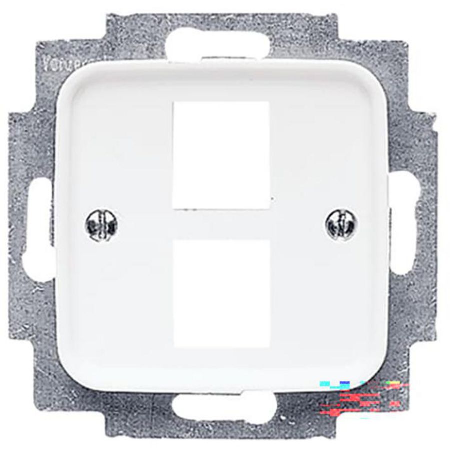 Centraalplaat 2 x MJ 216000-2/216005-4 R-alpin (2561-02-214)