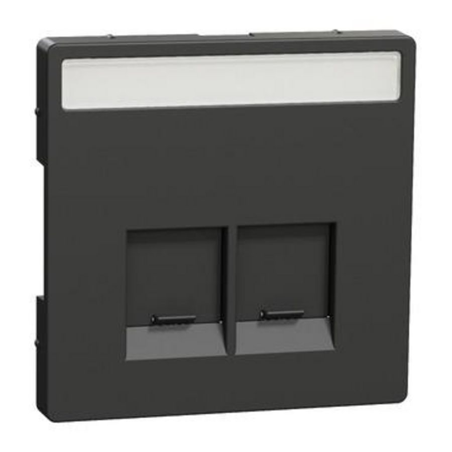 Centraalplaat RJ45 Actassi 2-voudig Venster Antrac Systeem D