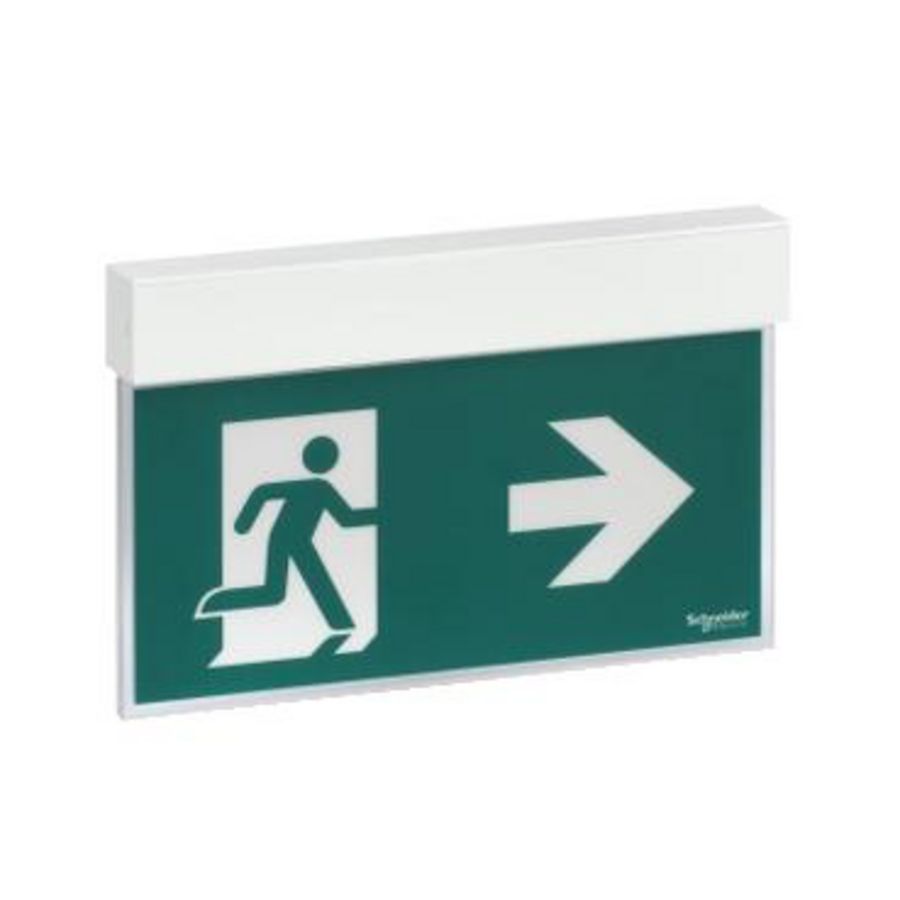 Noodverlichting EXIWAY EASYSIGN 24meter L/SA/1,5u