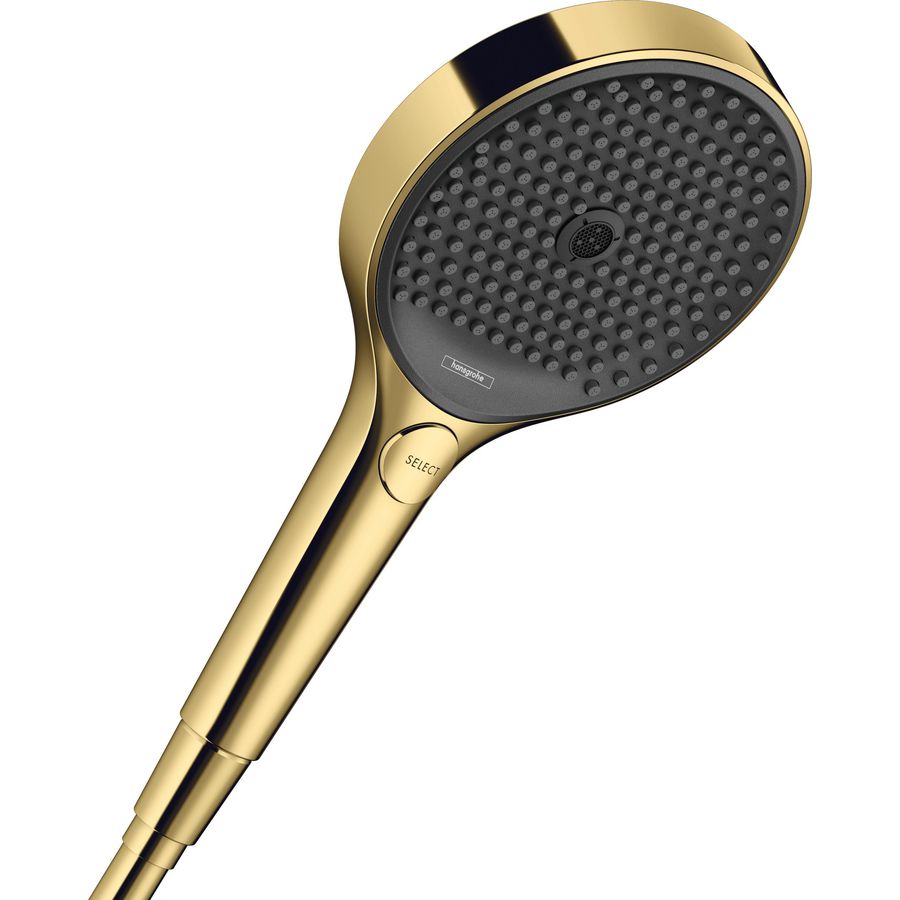 Handdouche Rainfinity 120 3 straalsoorten EcoSmart 9L polished gold optic