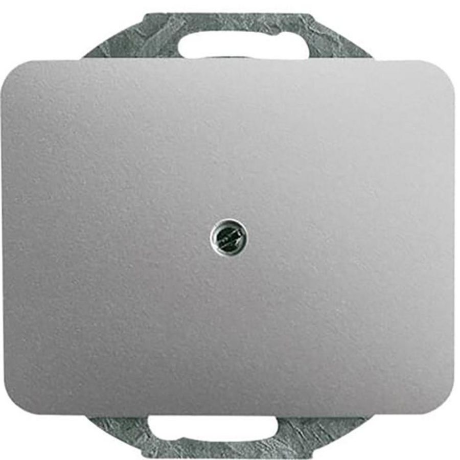 Centraalplaat inb draag zwakstr boring 10mm a-titanium (1749-266)