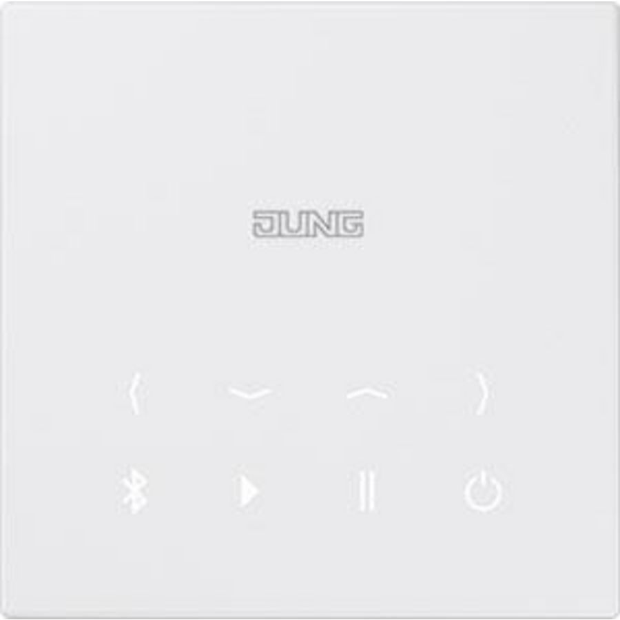 Bluetooth Connect module LS alpinwit