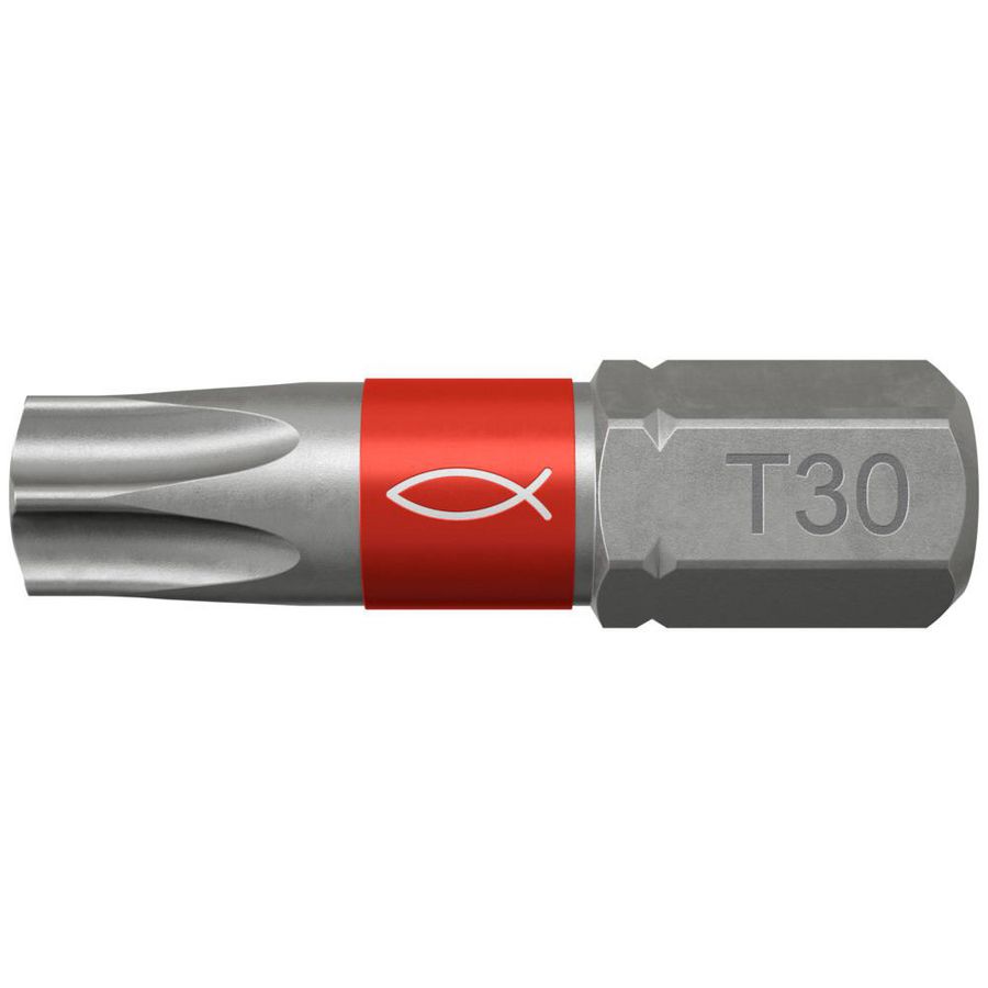 Set a 10st. Profi schroefbits FTB torx TX30
