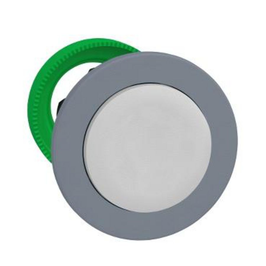 Flush mounted white projecting pushbutton head push push