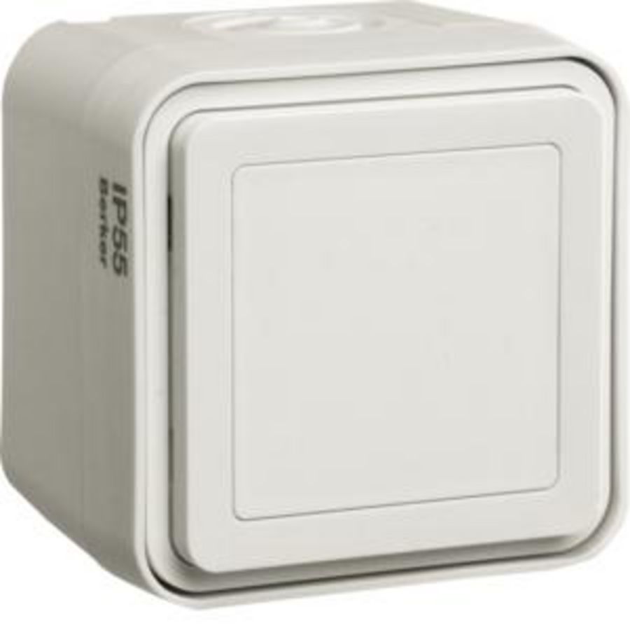 Blindplaat met behuizing berker W.1 polarwit