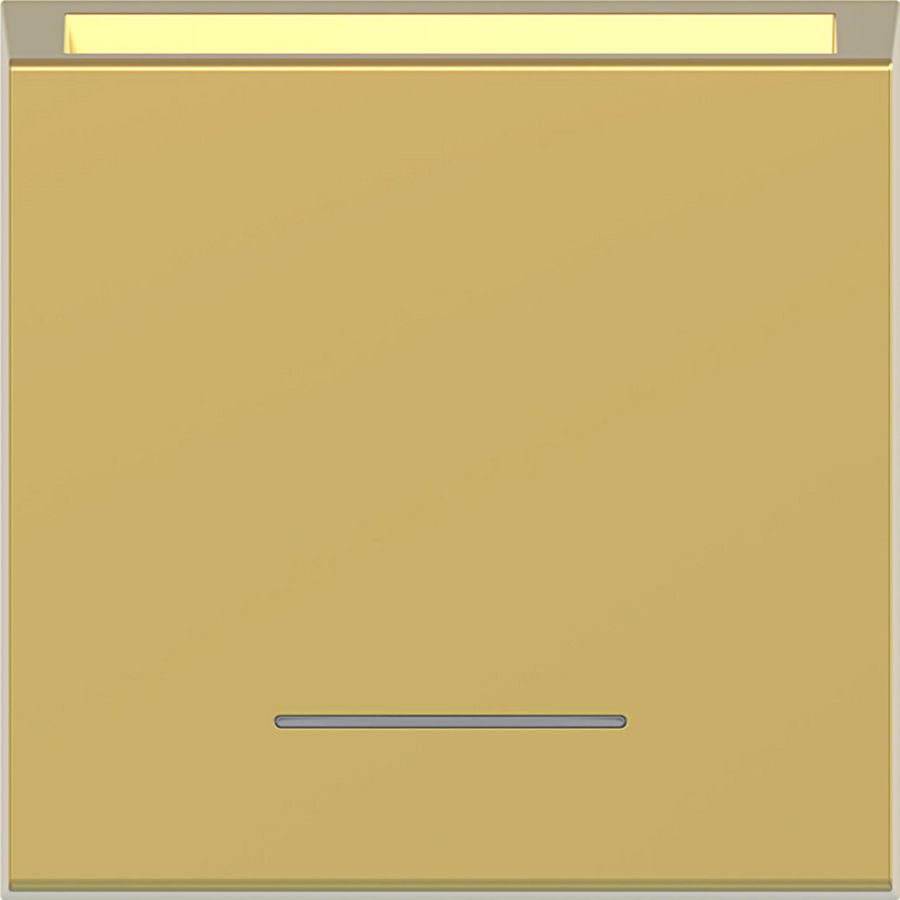 Centraalplaat hotelkaartschakelaar, heldere lens, A.x/C.x, gold, met.