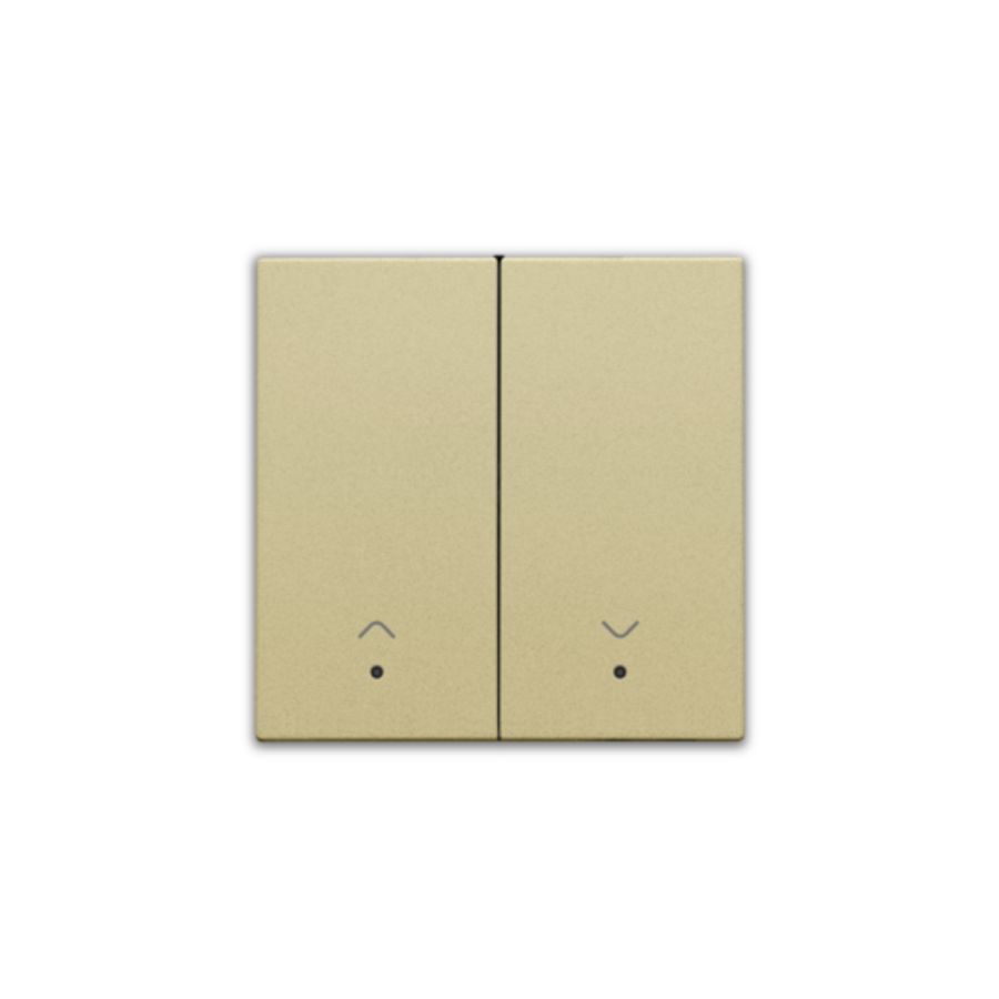 Afwerkingsset lens dubbele elektr. rolluiksch. gold