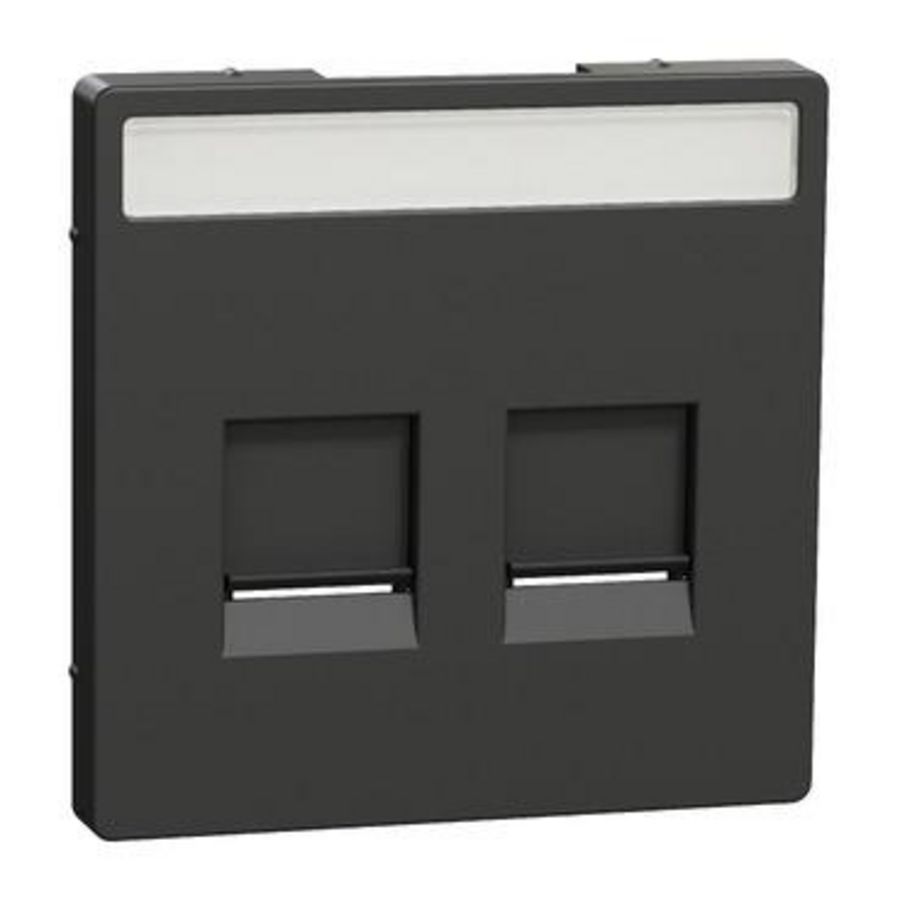 Centraalplaat RJ45 2-voudig Venster Antraciet Systeem D