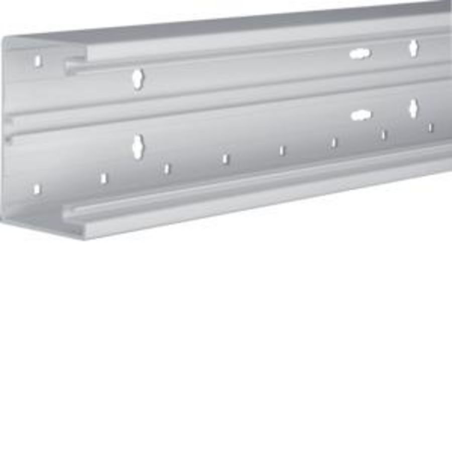 Bodemprofiel BR65 65x100mm pvc lichtgrijs VVE=2