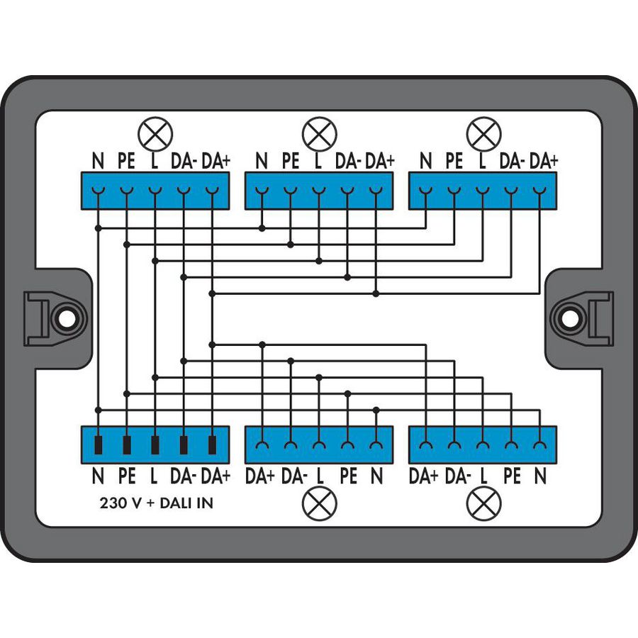 Verdeeldoos DALI 1 ingang 899-631/313-000