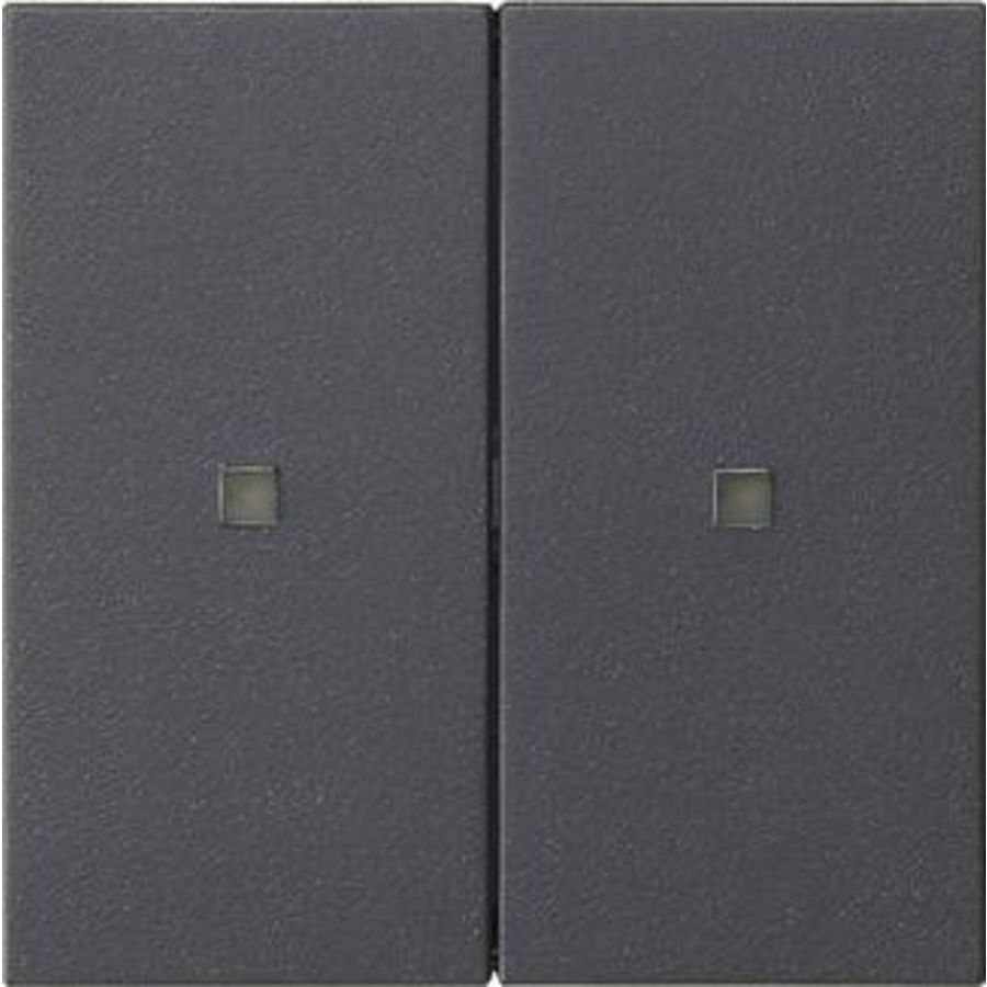 Wip 2-voudig onbedrukt ctrl.v. System 55 antraciet