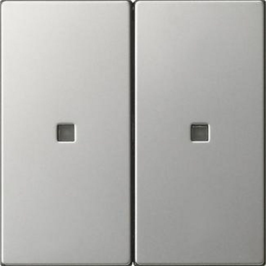 Wip 2-voudig onbedrukt ctrl.v. System 55 edelstaal
