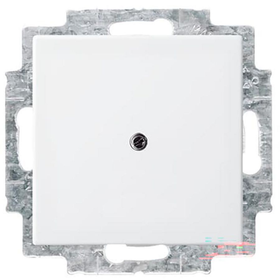 Centraalplaat blind met draagraam SI-B-alpin wit (2538-914)