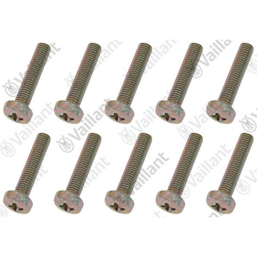 Schroef set a 10 st.  0010048110