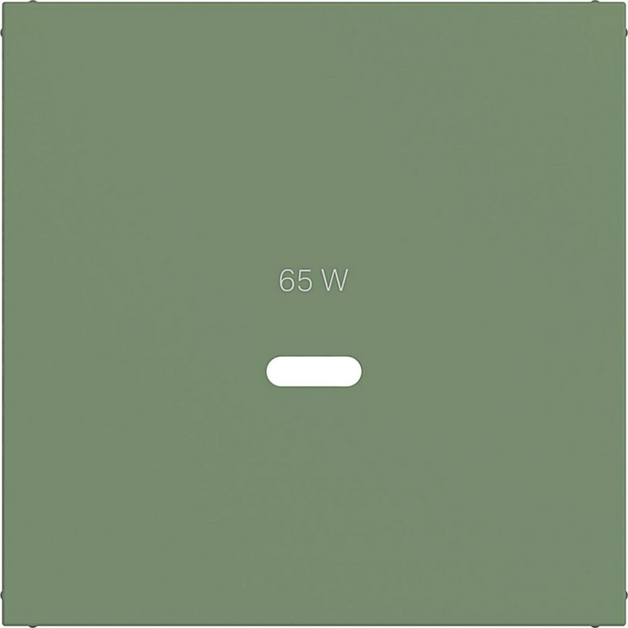 Centraalplaat voor USB-C-contactdoos, A.x/C.x, aloe, mat