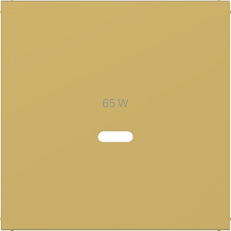 Centraalplaat voor USB-C-contactdoos, A.x/C.x, gold, metalic