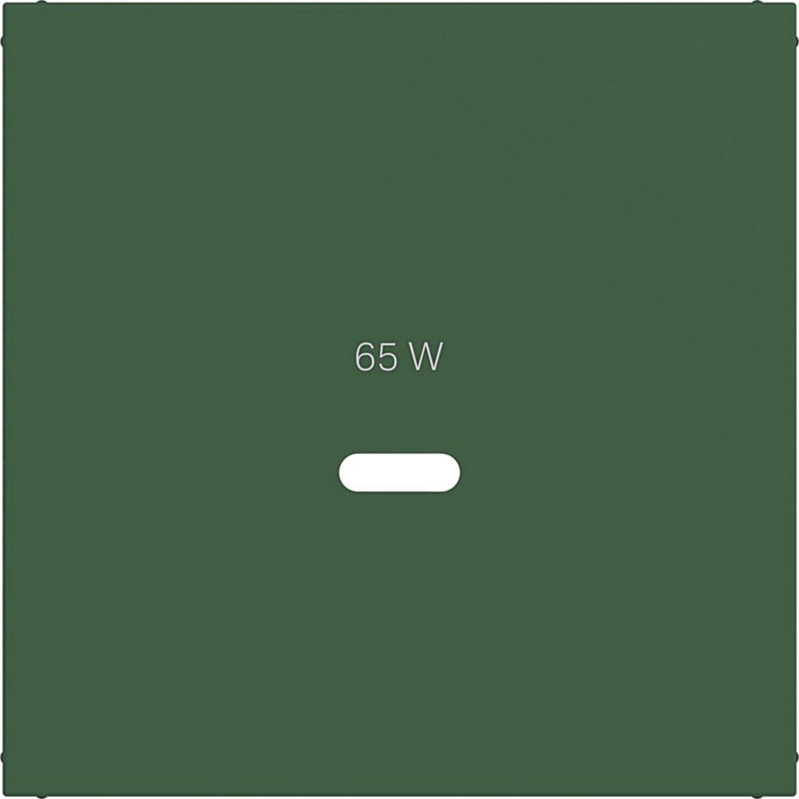 Centraalplaat voor USB-C-contactdoos, A.x/C.x, forest, mat