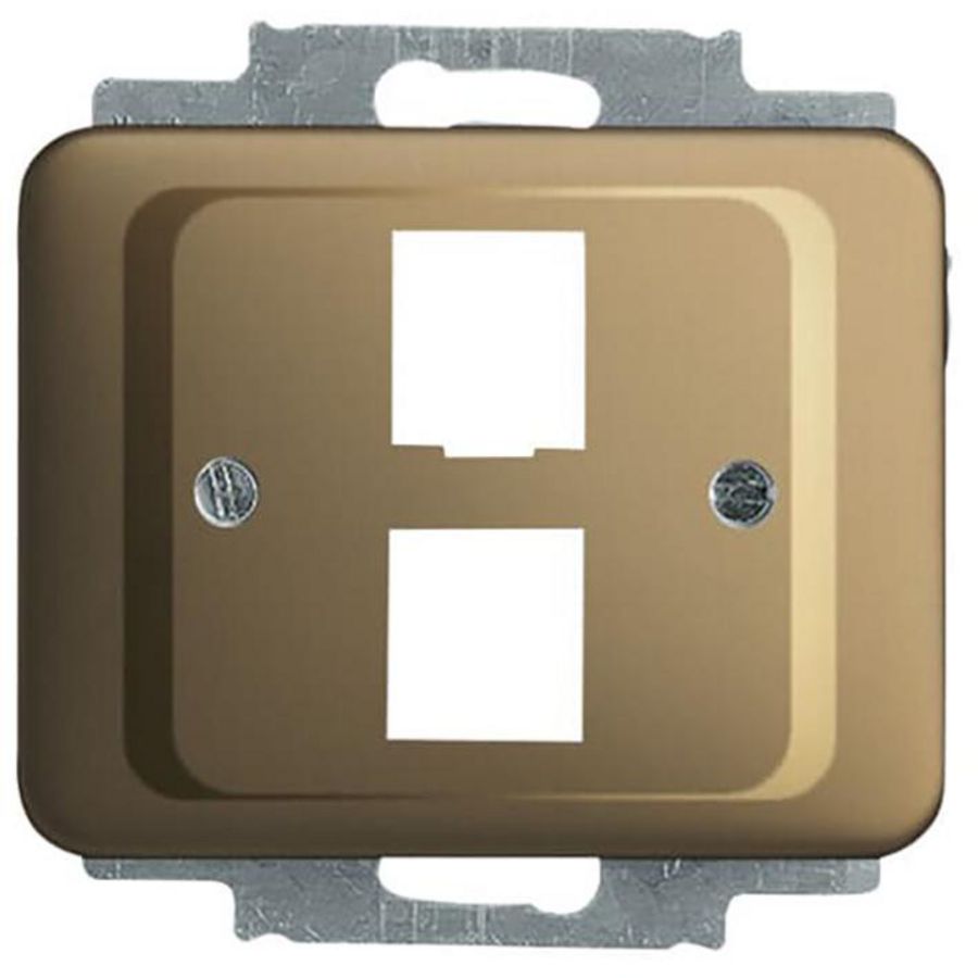 Centraalplaat 2 x MJ 216000-2/216005-4 a-brons (2561-02-21)