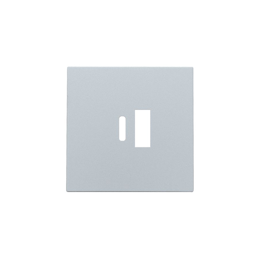 Afwerkingsset dubbele smart USB-A-/USB-C-lader sterling