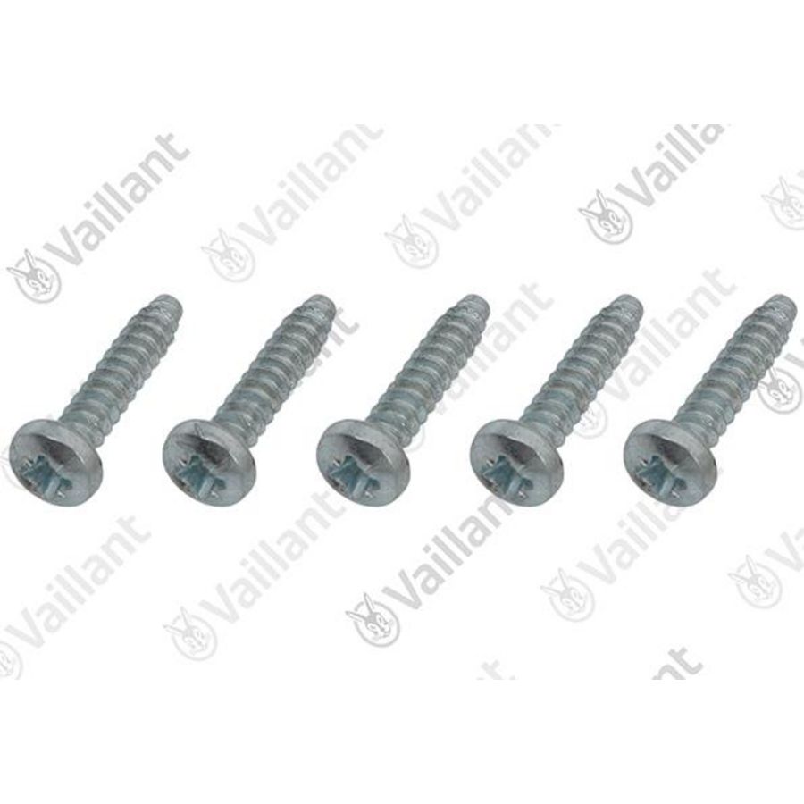 Set a 10st. schroef 0010048312