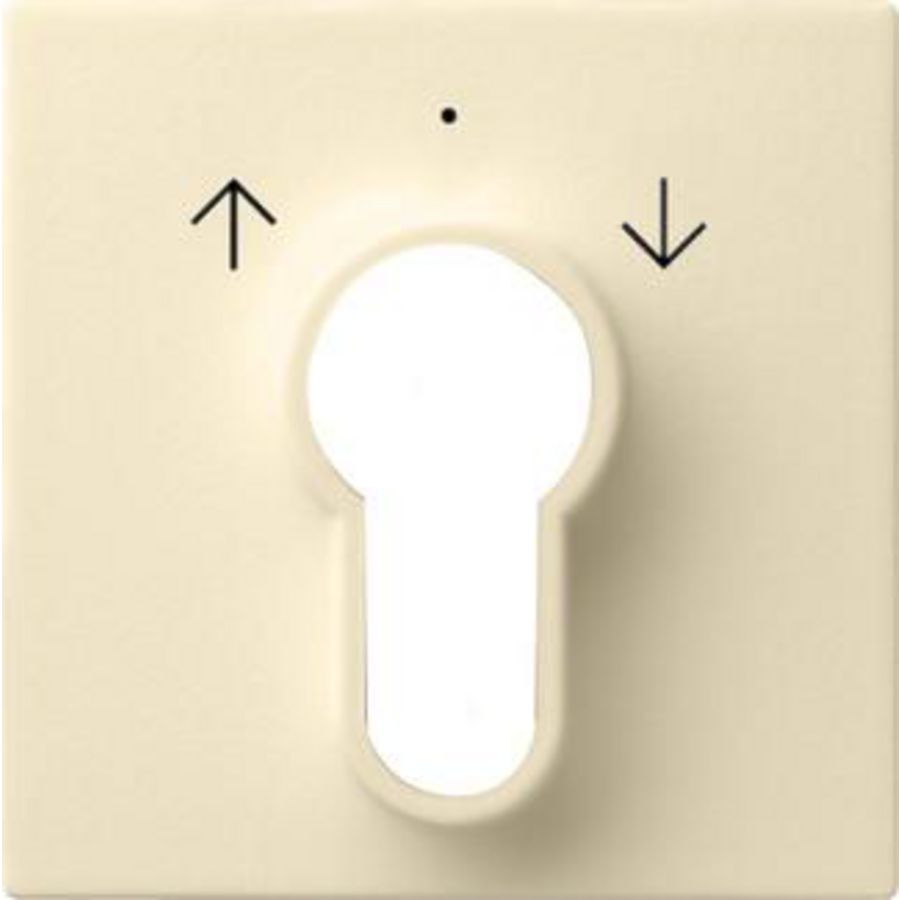 Afdekking sleutelschakelaar /-drukcontact System 55 creme wit