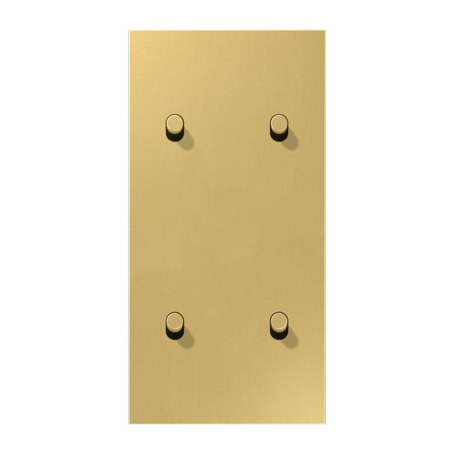 Afdekking LS1912 mess.kl.verticaal 2+2 hevel cyl.