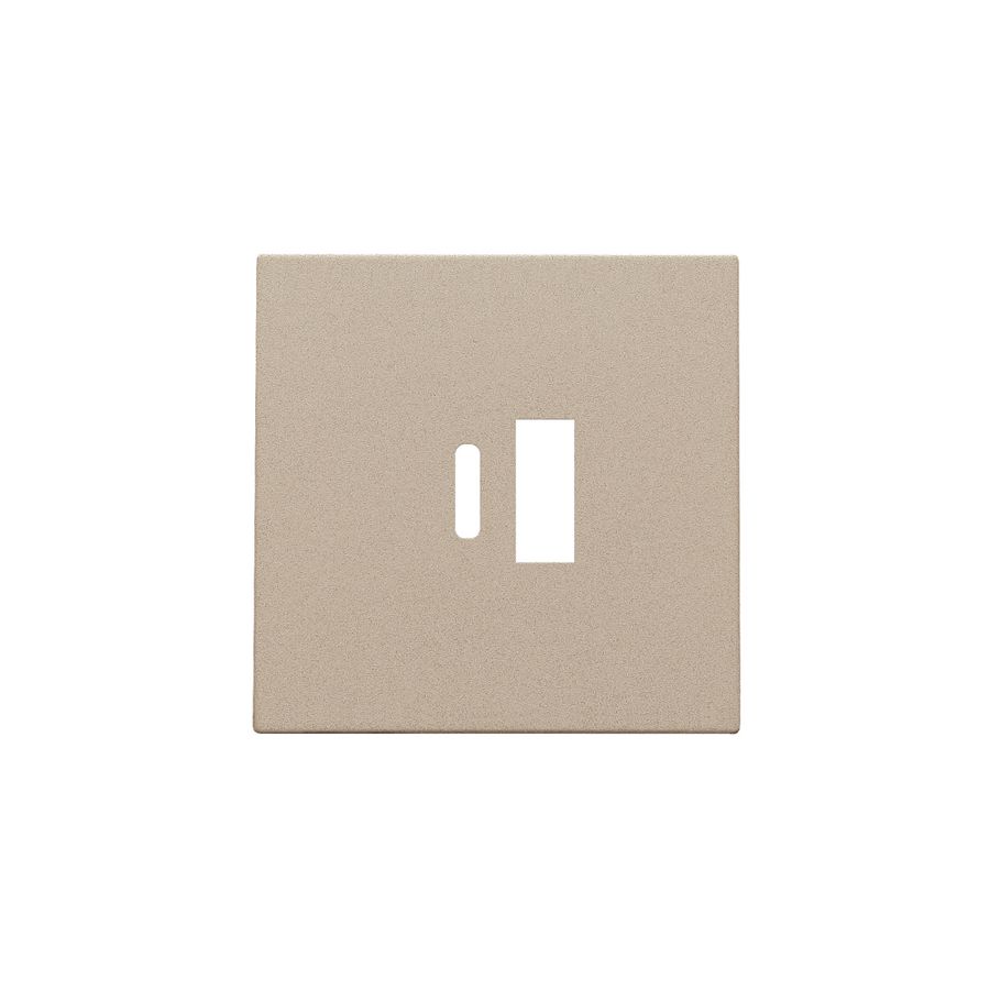 Afwerkingsset dubbele smart USB-A-/USB-C-lader champagne