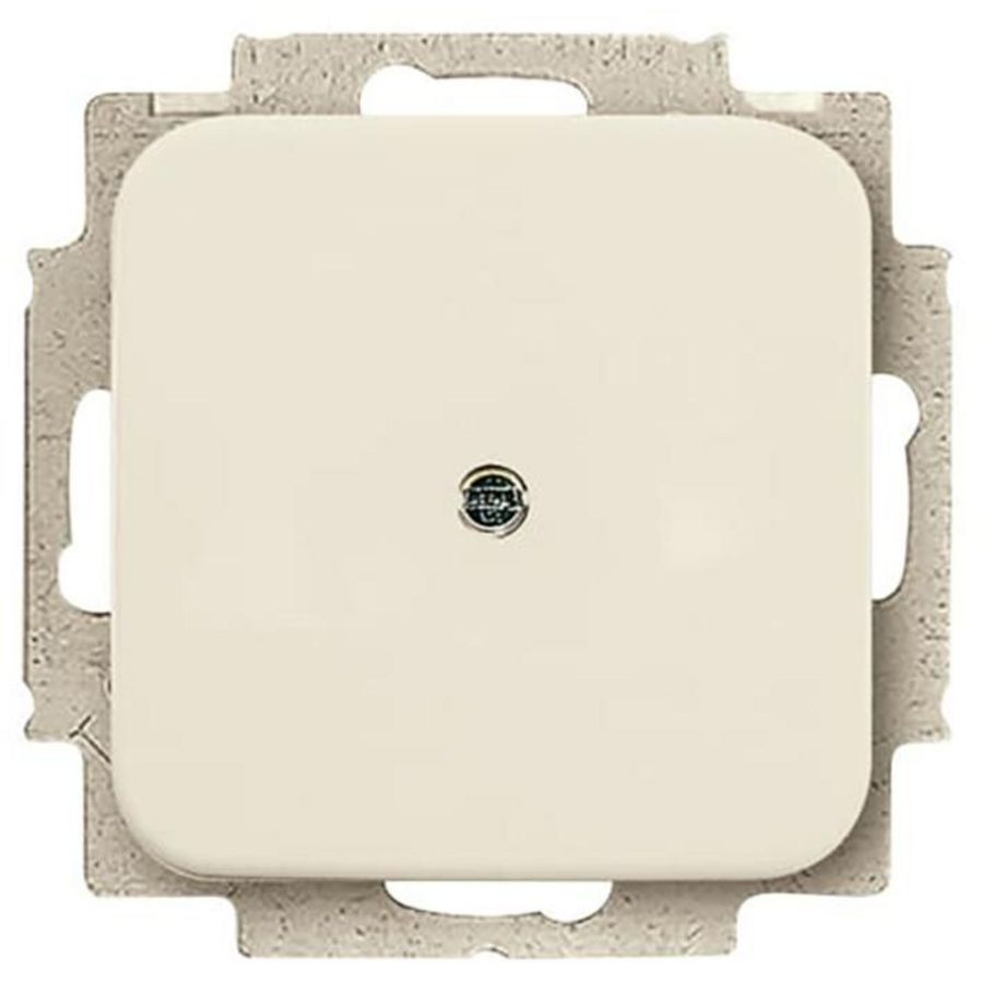 Centraalplaat blind met draagring SI creme (2538-212)