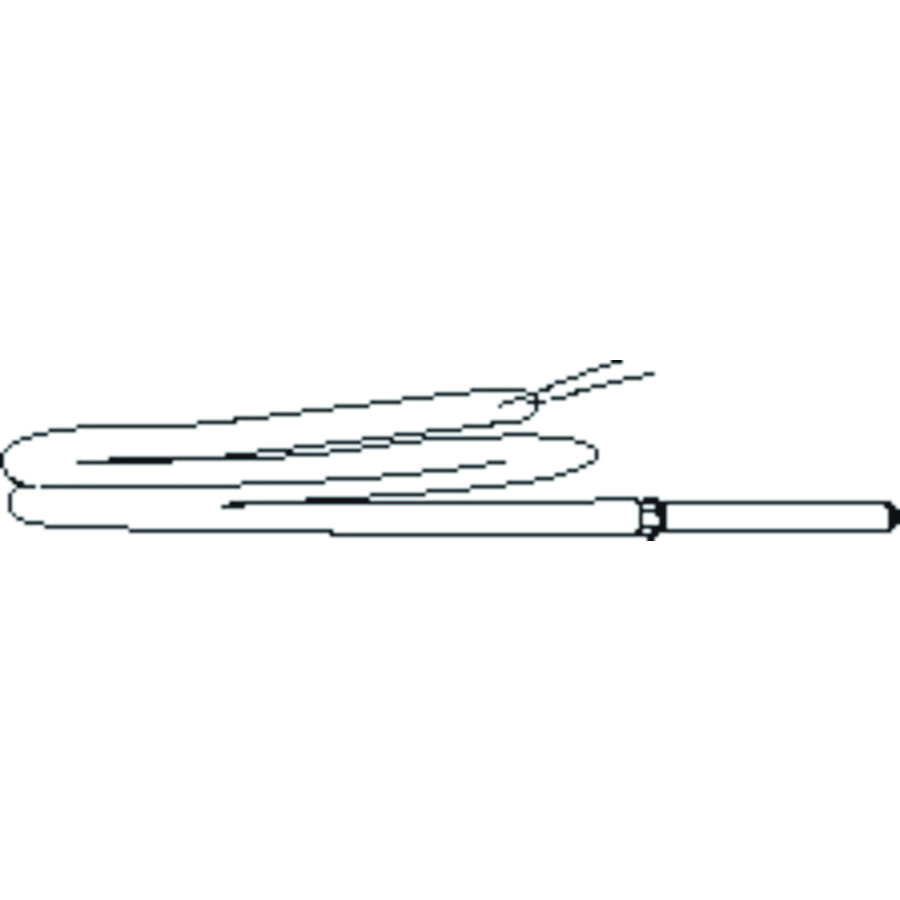 Sensor pt100 2,5m zlc/zlb/zgc S0017800
