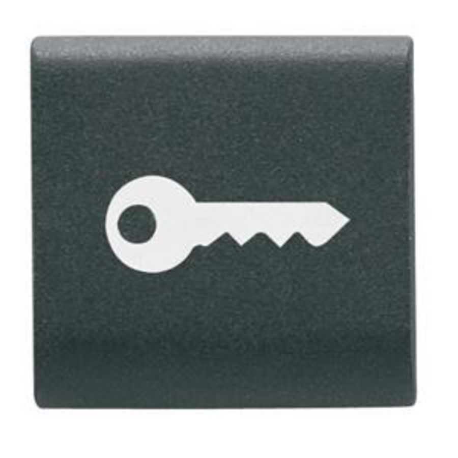 UITWISSELBARE DRUKKNOP-22 X 22 mm-SLEUTEL-SATIJN ZWART VVE=4