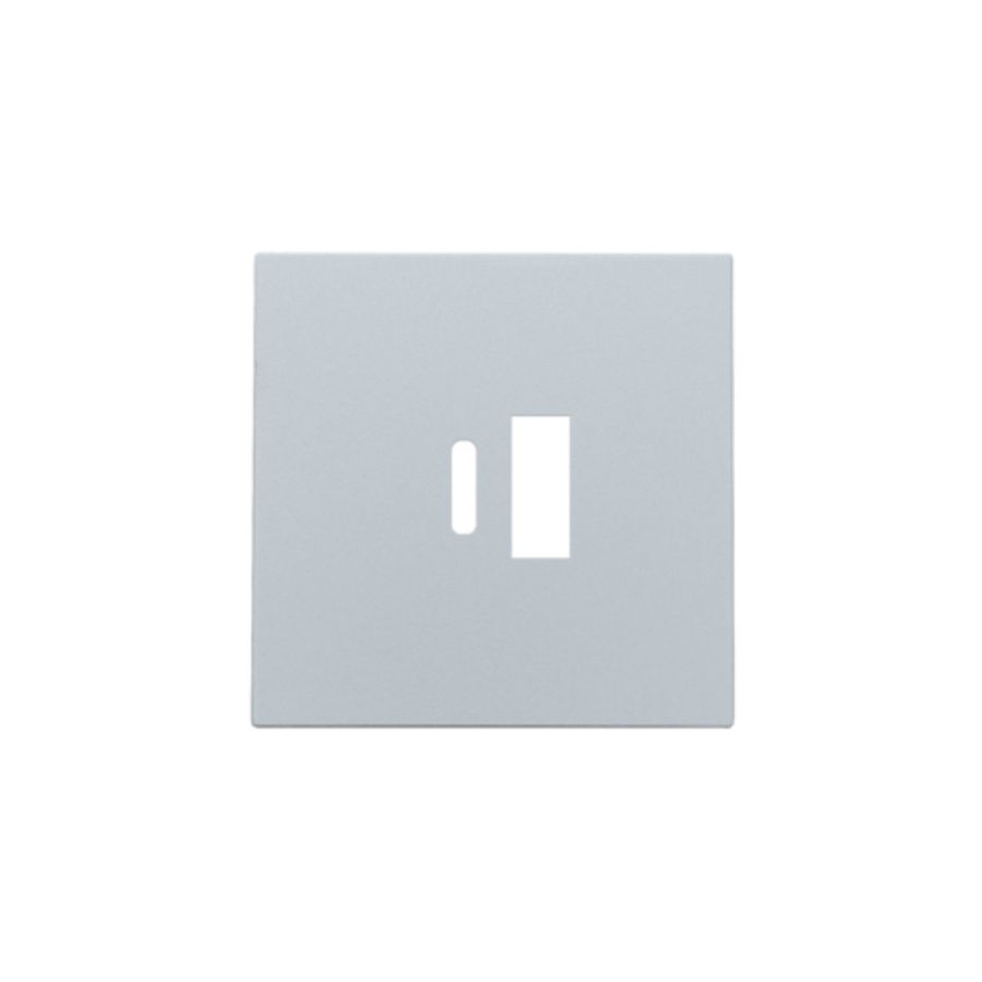 Afwerkingsset dubbele smart USB-A-/USB-C-lader sterling