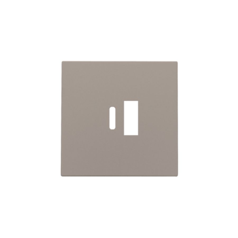 Afwerkingsset dubbele smart USB-A-/USB-C-lader bronze