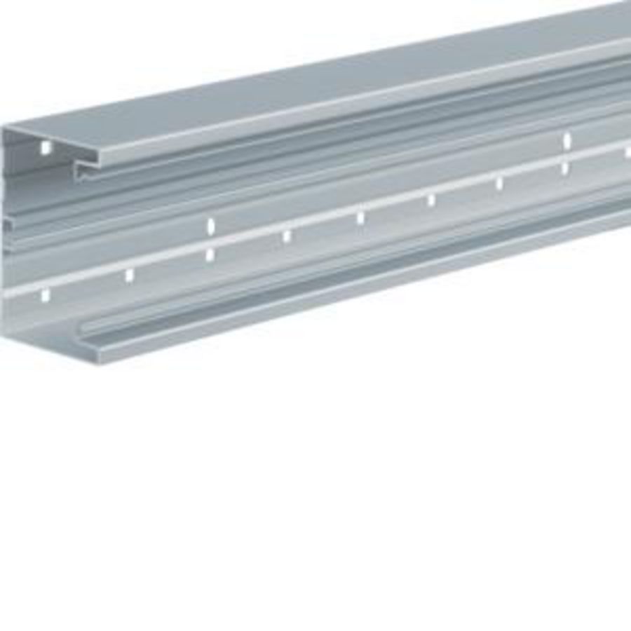 Bodemprofiel BRA 65x100mm natuurgeeloxeerd VVE=2