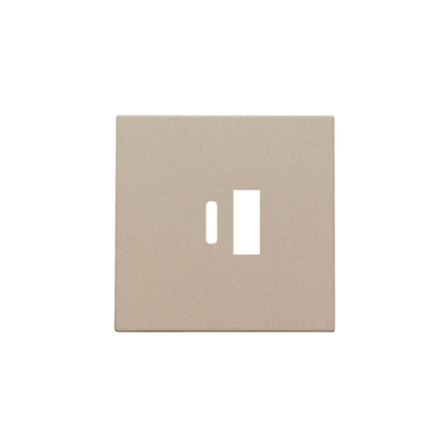 Afwerkingsset dubbele smart USB-A-/USB-C-lader champagne