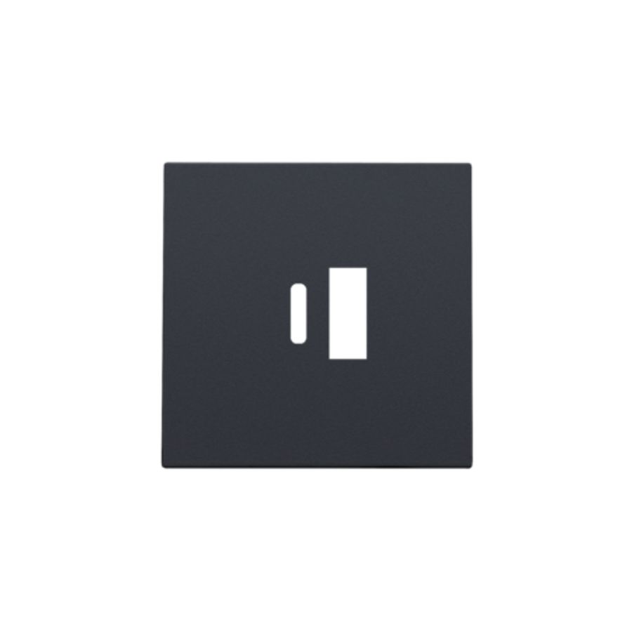 Afwerkingsset dubbele smart USB-A-/USB-C-lader anthracite