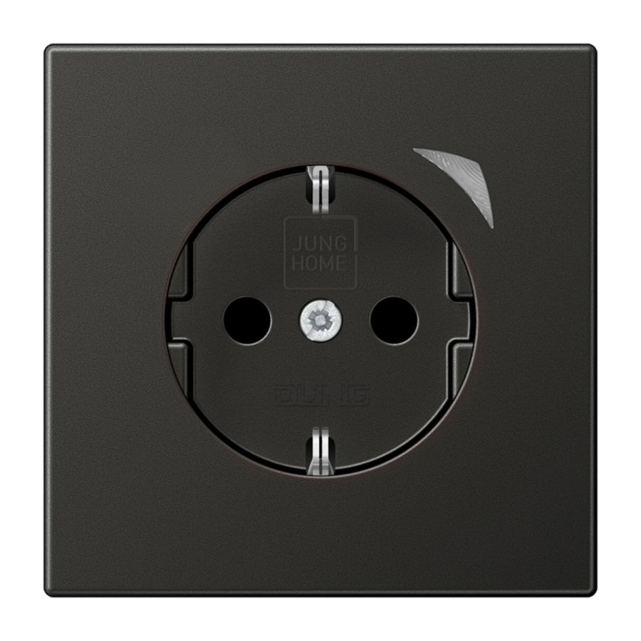Wandcontactdoos LS990 antraciet mat Saf.+ HOME
