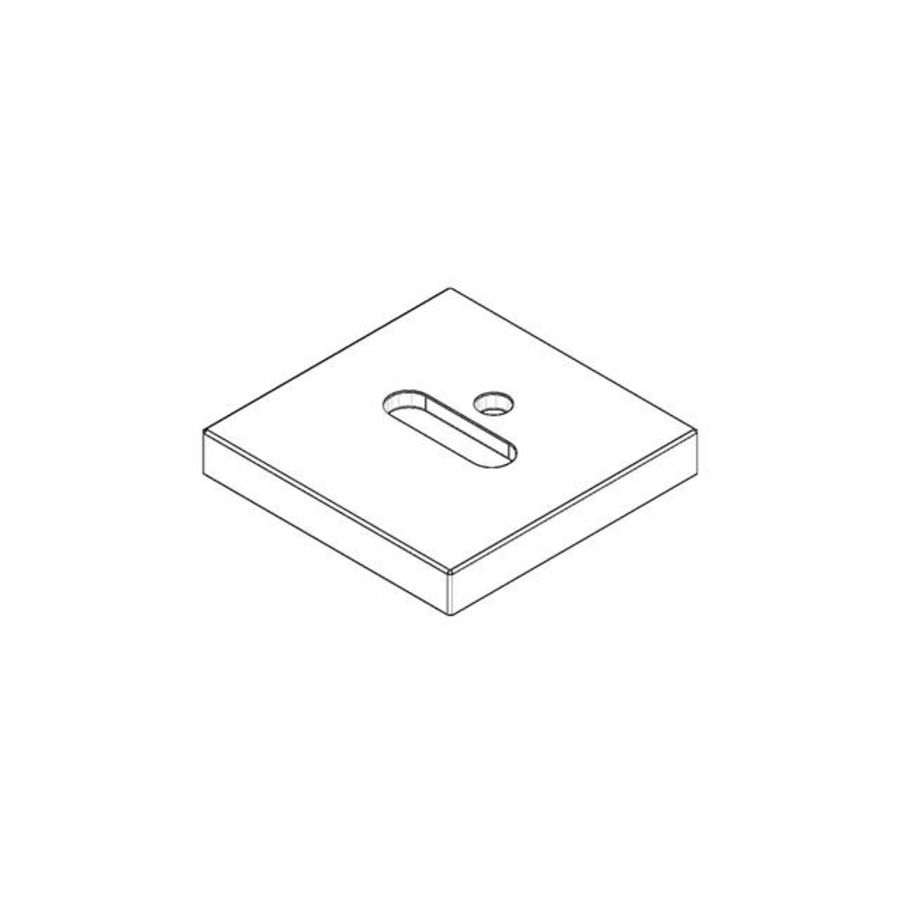 Rozet v. badinloop 60x60x9mm Platina gebors.